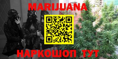 PSILOCYBIN Кинель