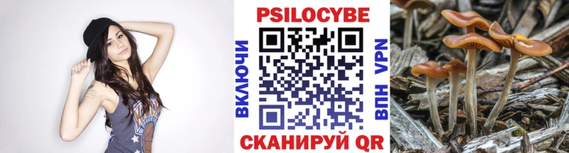продажа наркотиков  Ростов-на-Дону  Галлюциногенные грибы прущие грибы 